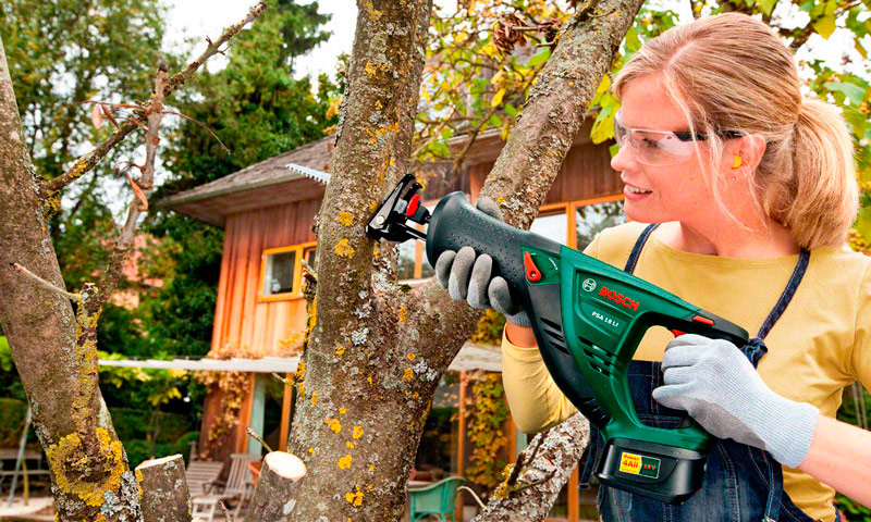 Évaluation de la scie alternative - meilleurs modèles