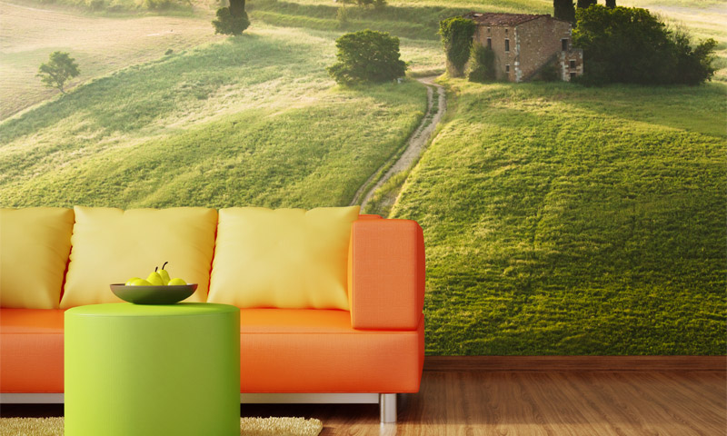 Avis et opinions sur l'utilisation du papier peint photo