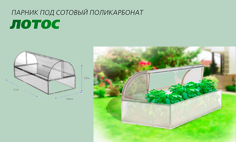 Hotbed Lotus - avis de maraîchers et maraîchers