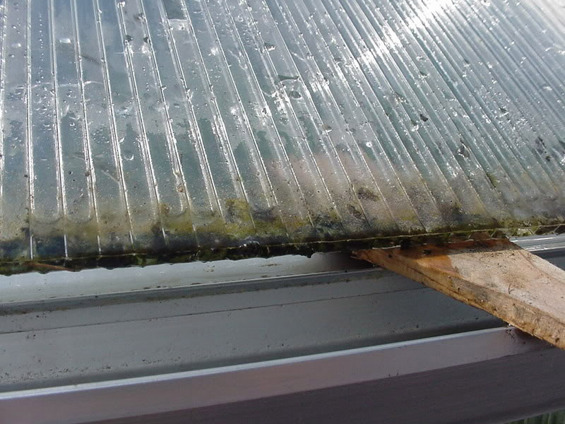 Floraison cellulaire en polycarbonate