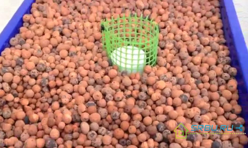 Conductivité thermique de l'argile expansée